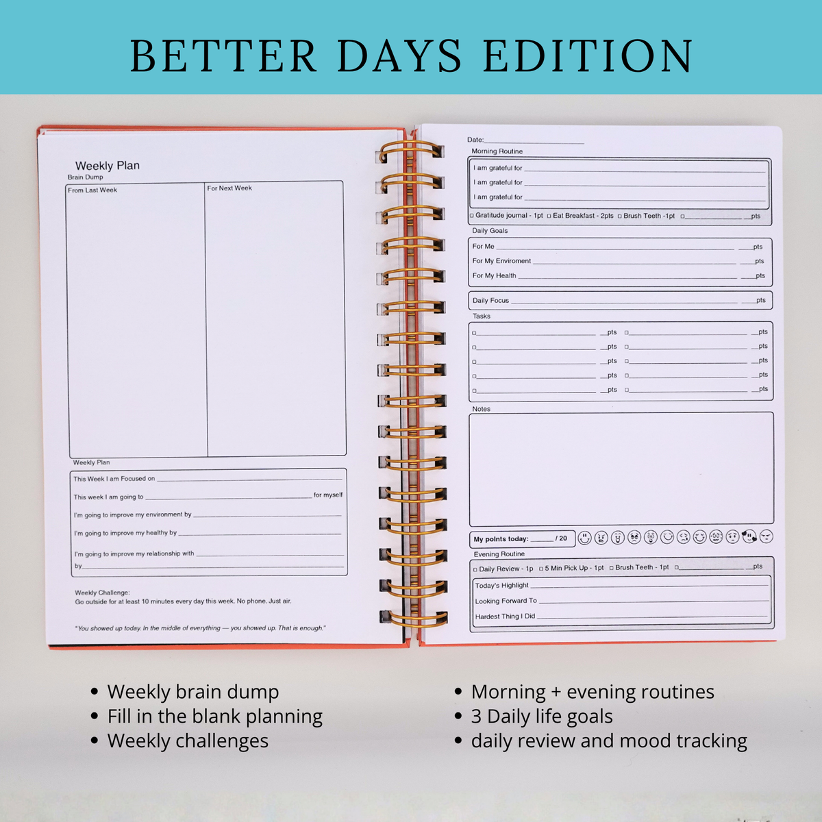 The Self Help Planner: Better Days Edition